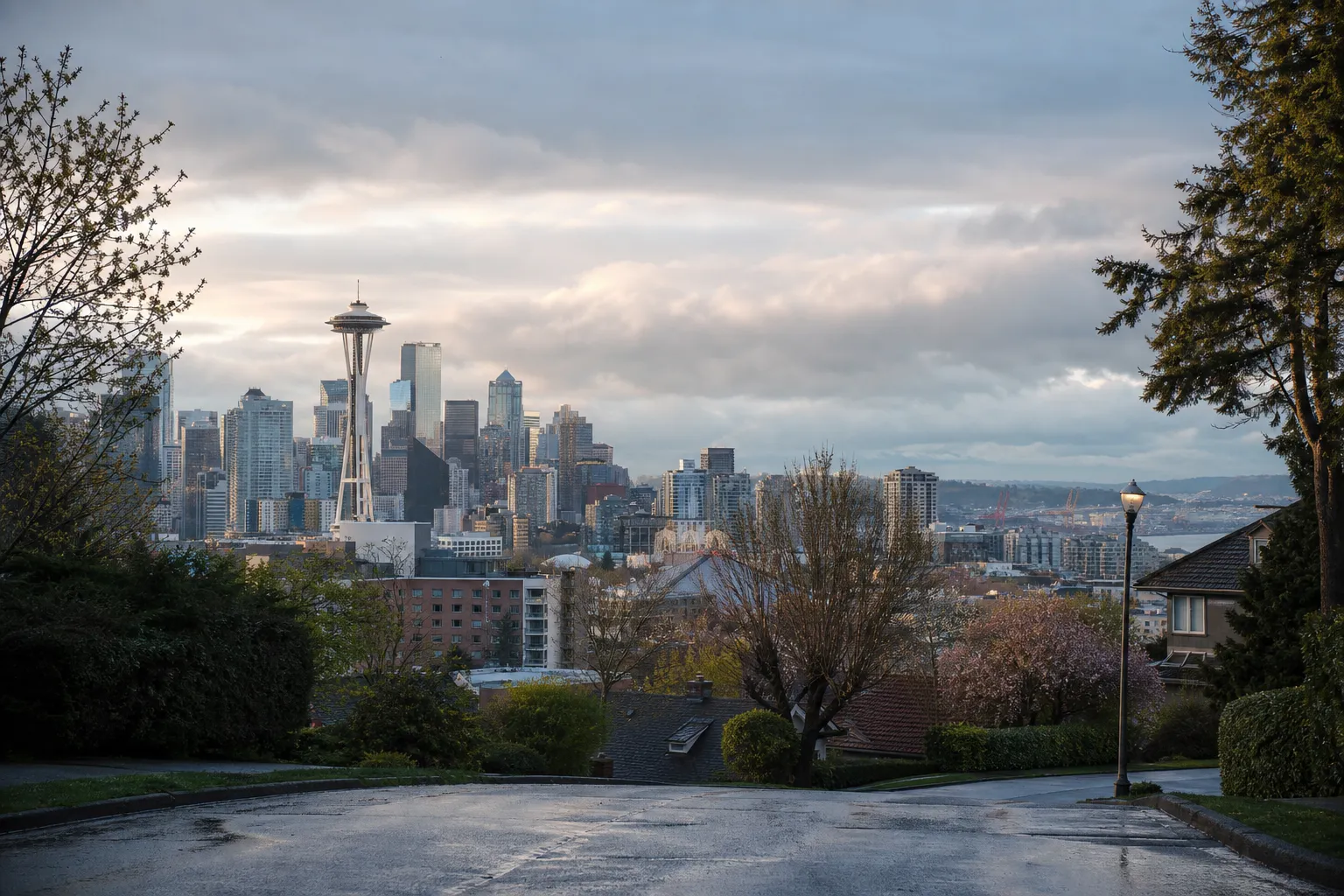 Seattle skyline and the Space Needle seen from a leafy hill
