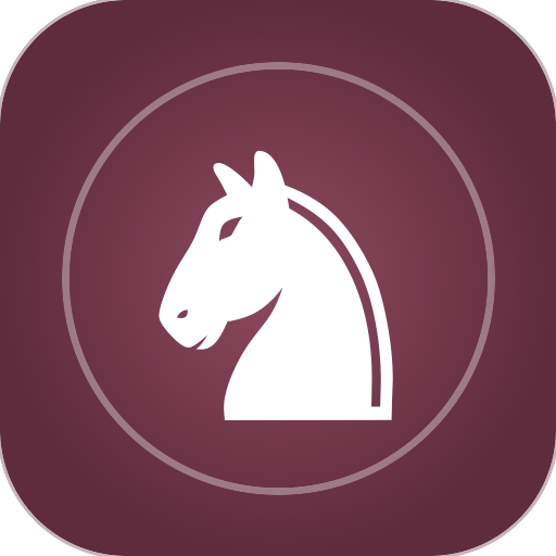 Museum Knight app icon